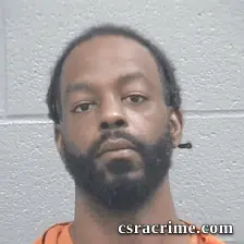 Ronelle Lazenby booking photo