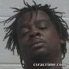 Ronnie Eugene Johnson booking photo