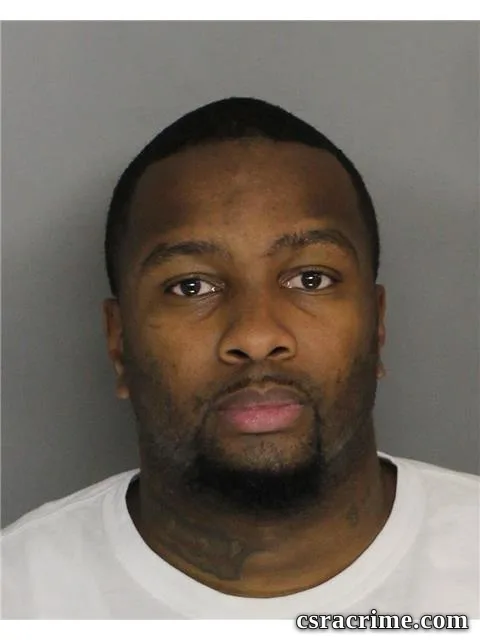 Ronnie Johnson booking photo