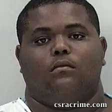 Ronnie Johnson booking photo