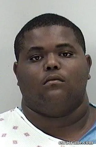 Ronnie Johnson booking photo