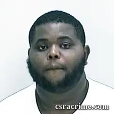 Ronnie Johnson booking photo