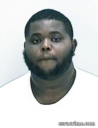Ronnie Johnson booking photo
