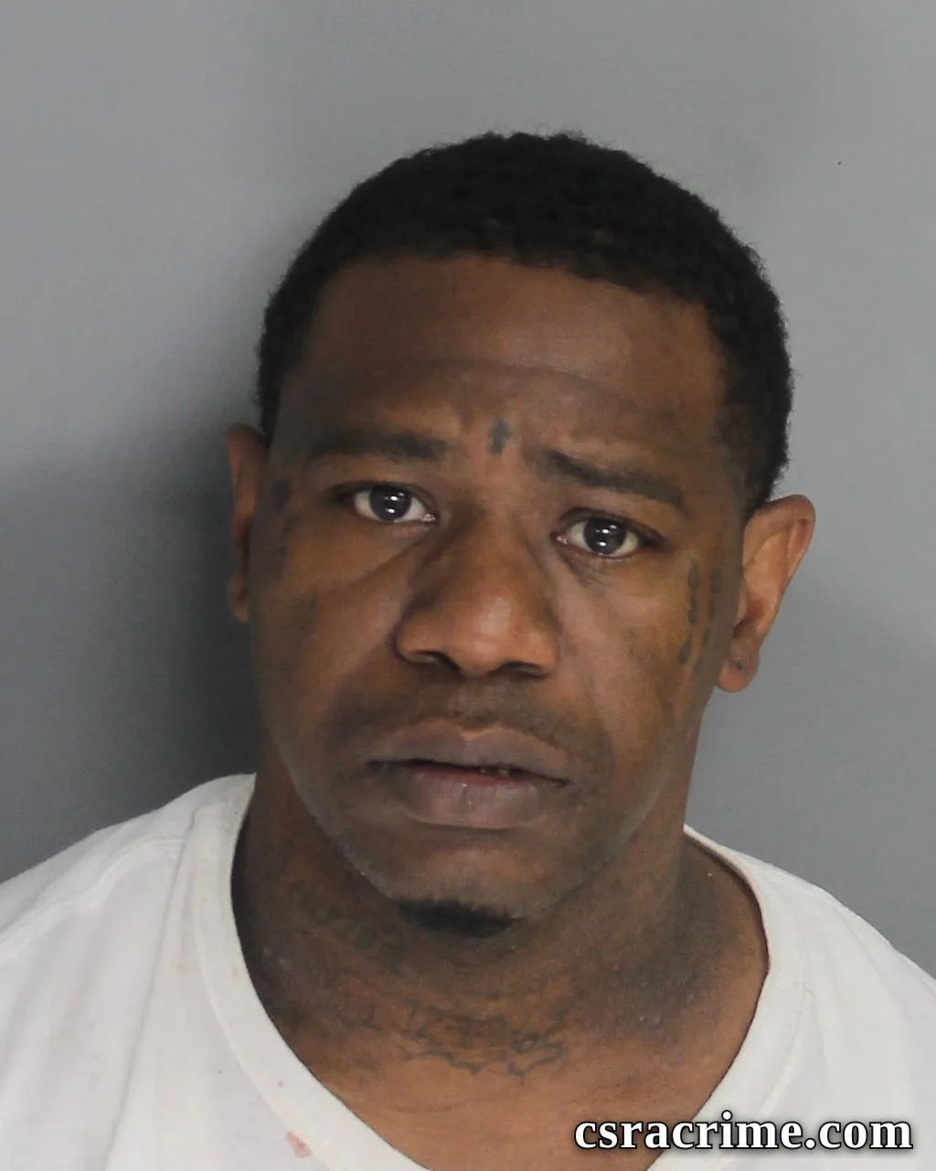 Ronnie Williams booking photo