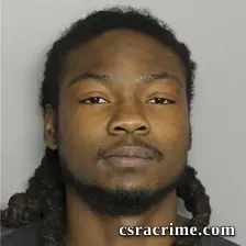 Ronquel Livingston booking photo