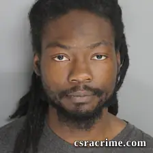 Ronquel Livingston booking photo