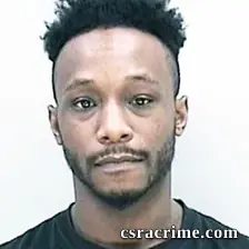 Rontaye Hollins booking photo