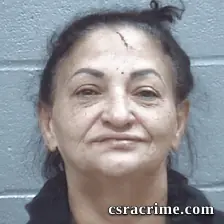 Rosanna Pujols booking photo