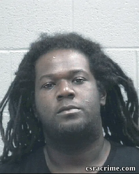 Rosheen Johnson booking photo