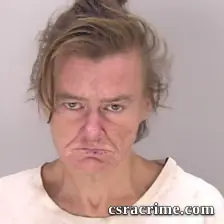 Roxanne Charlene Johnson booking photo