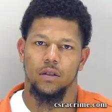 Roy Dyson booking photo