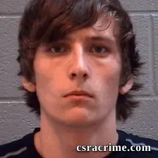 Ryan Deloach booking photo
