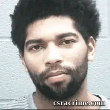 Ryan Goss booking photo