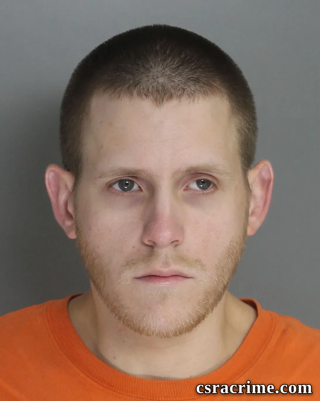 Ryan Hallback booking photo