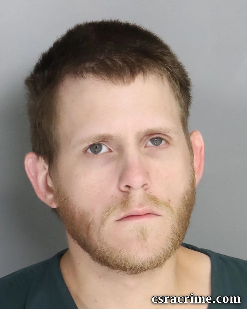 Ryan Hallback booking photo