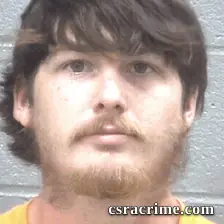 Ryan Hamilton booking photo