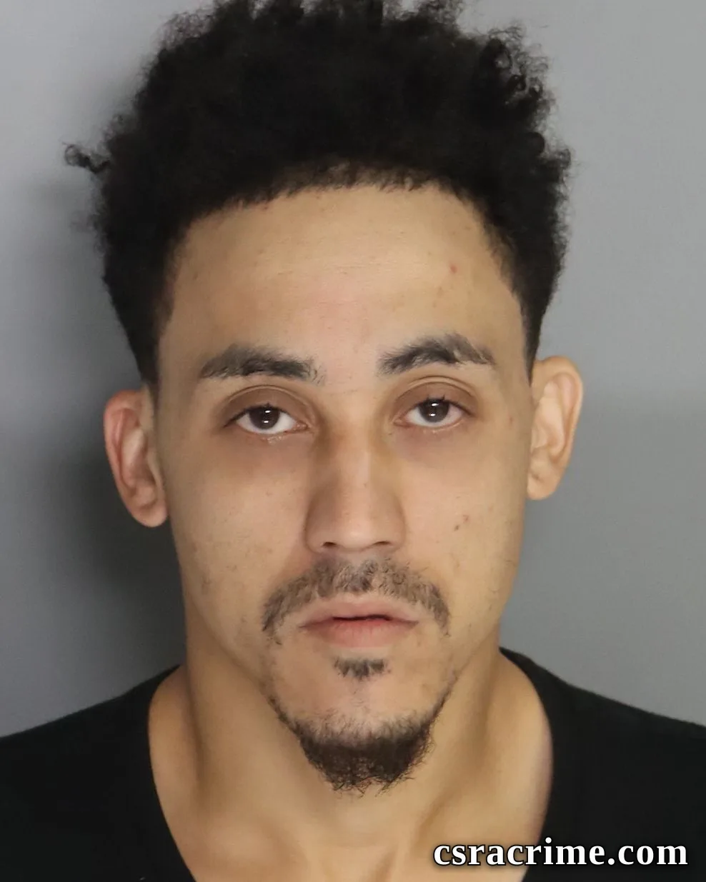 Ryan Isaacs booking photo
