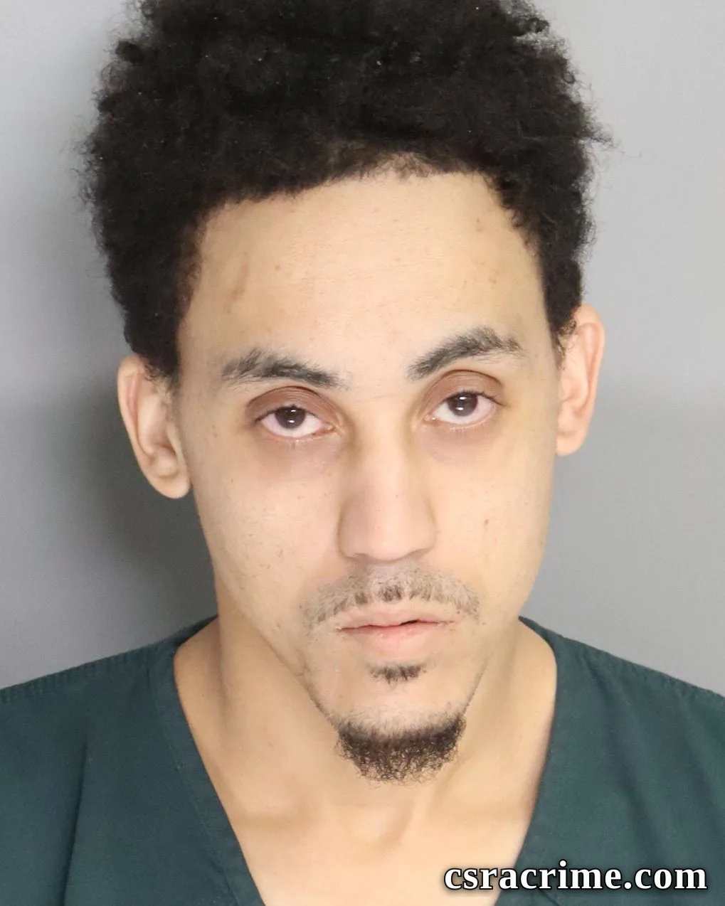 Ryan Isaacs booking photo