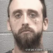 Ryan James Mckinney booking photo