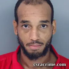 Ryan Mckie booking photo