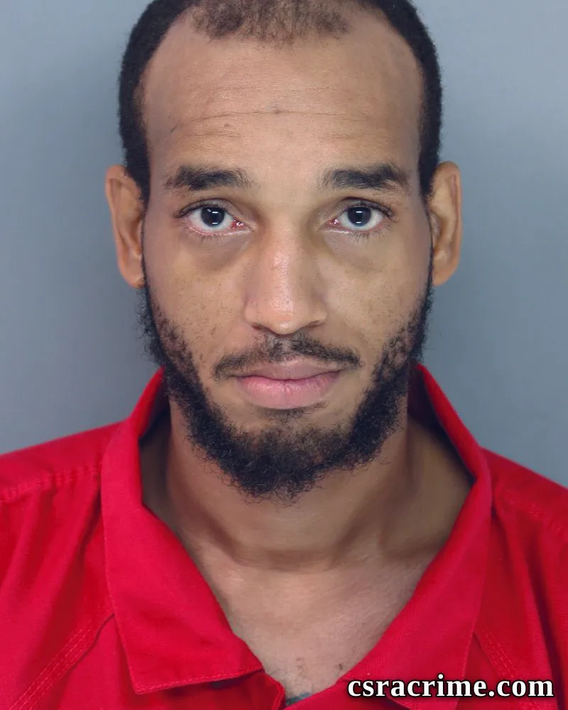 Ryan Mckie booking photo