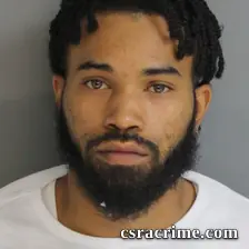 Ryan Walker booking photo