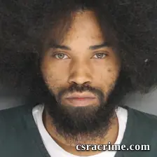 Ryan Walker booking photo