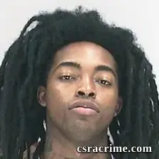 Ryheem Rollins booking photo