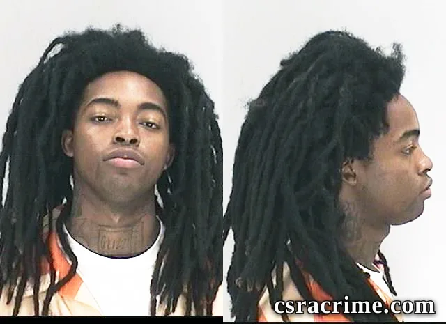 Ryheem Rollins booking photo