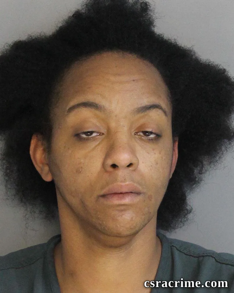 Sabrina Mayfield booking photo
