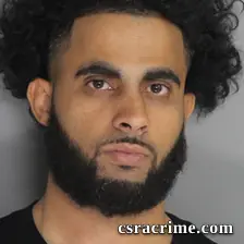 Sakr Alhalemi booking photo