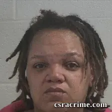 Salita Ann Presley booking photo