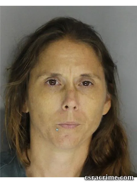 Sallie Dennis booking photo
