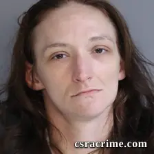 Samantha Cushman booking photo