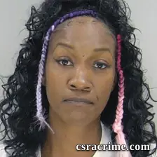 Samantha Johnson booking photo
