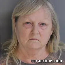 Sandi Day booking photo