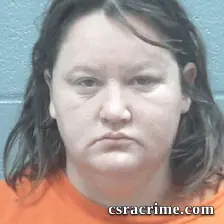 Sandra Bedenbaugh booking photo