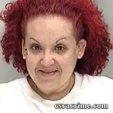 Sandra Colon booking photo