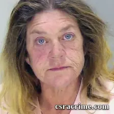 Sandra Lee booking photo