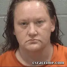 Sandra Lorraine Bedenbaugh booking photo