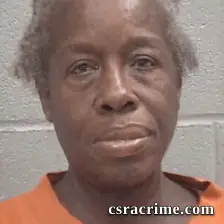 Sandra Lousie Holmes booking photo