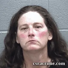 Sandra Williams booking photo