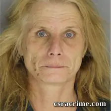 Sandra Wood booking photo