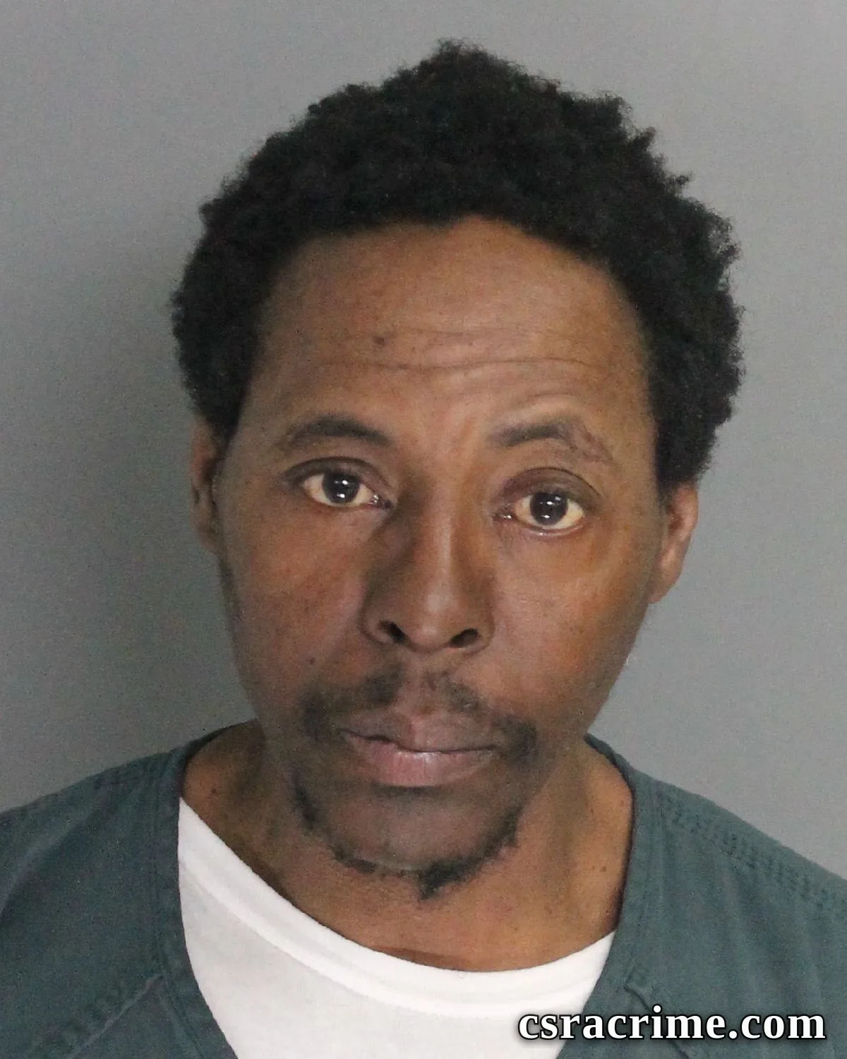 Sandy Jackson SR booking photo