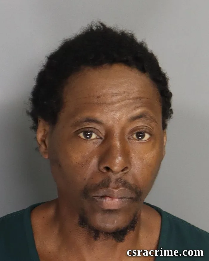 Sandy Jackson SR booking photo