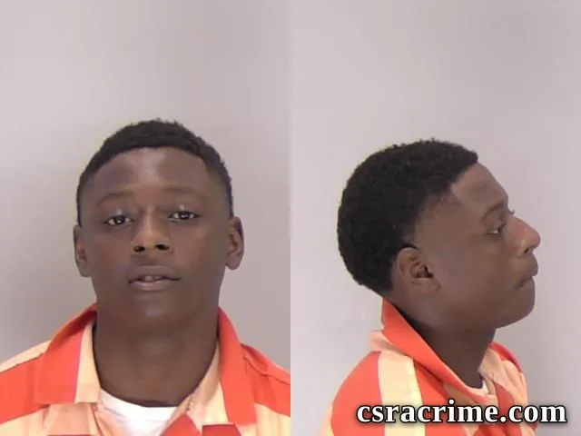 Santana Mance booking photo