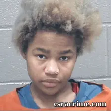 Santrianna Bell booking photo