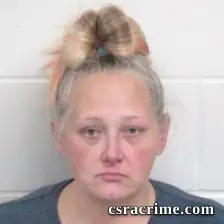 Sara Elizabeth Baucom booking photo