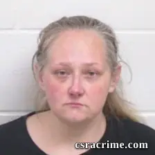 Sara Elizabeth Baucom booking photo