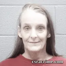 Sara Mcdowell booking photo